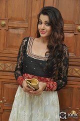 Diksha Panth at Gopala Gopala Movie Audio Launch